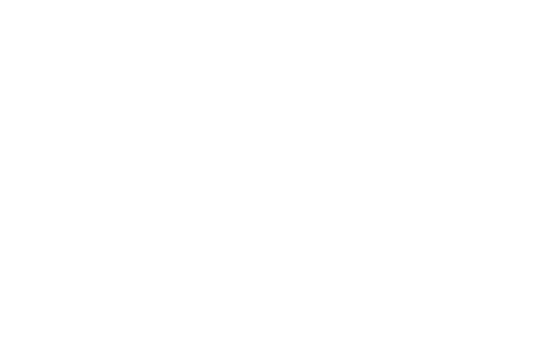 LADISLAV PUDIŠ